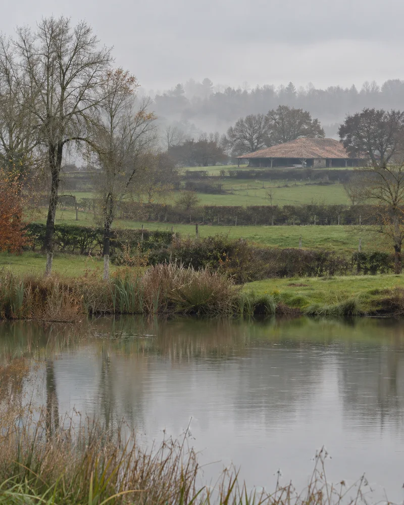 Étang et bocage — couvreur dans l’Ain, Bresse et Dombes
